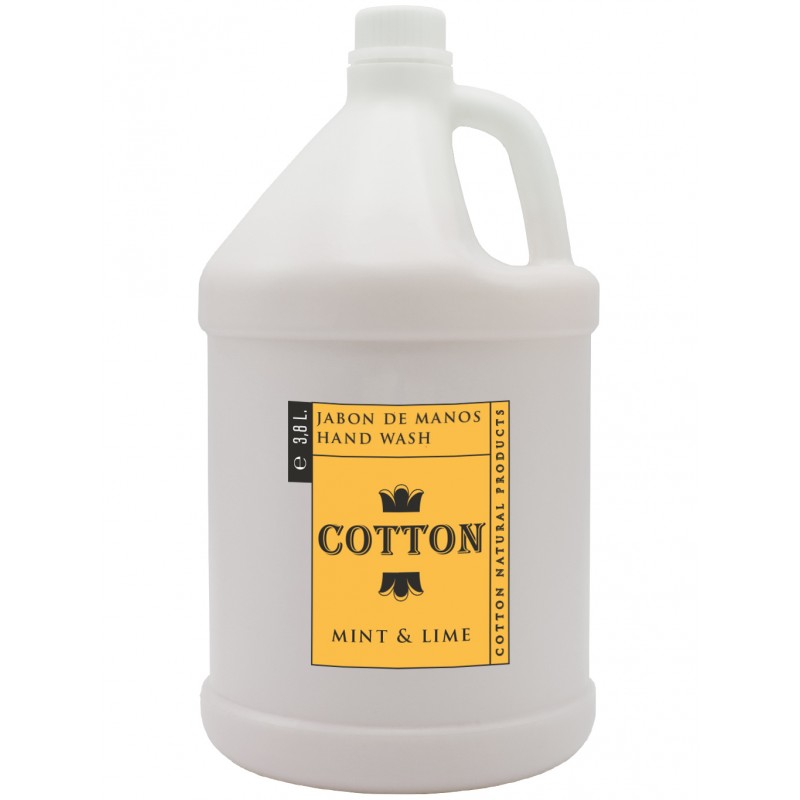 Gallon lavage à la main 3,8L